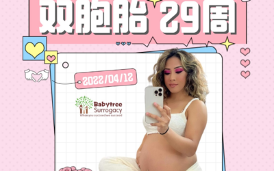 美国代孕网四月报|2022年#美国宝宝树#Babytree Surrogacy#