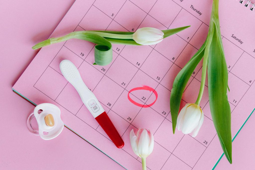 Pregnancy test on pink calendar with tulips, symbolizing fertility and new beginnings.